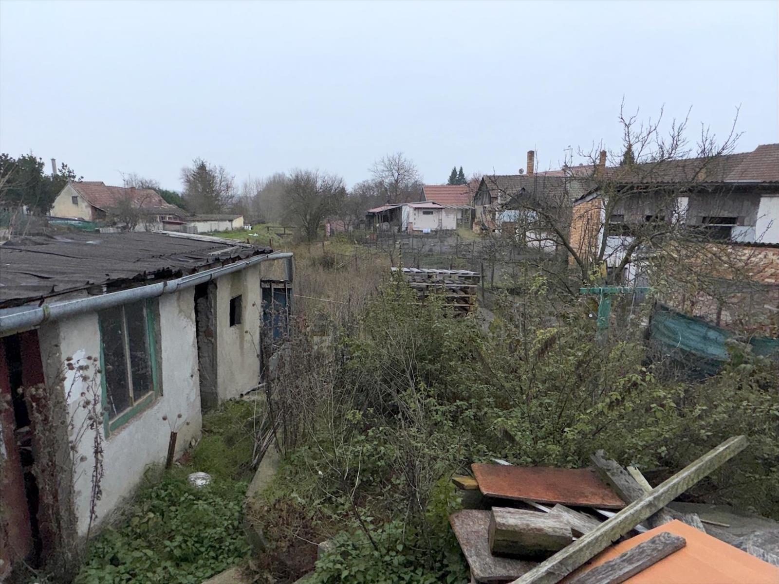 639034112663313251_IMG_9256 u.JPG